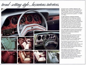 1977 Ford Thunderbird Mailer-08.jpg